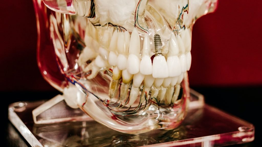 Dental Panda Trauma INBDE