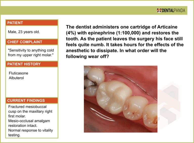 Anatomy - ANESTHETIC PHARMACOLOGY 3
