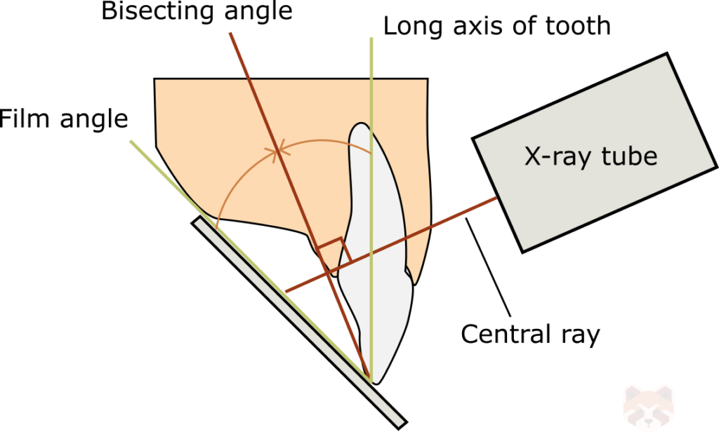 Bisecting angle 1 1024x616 1