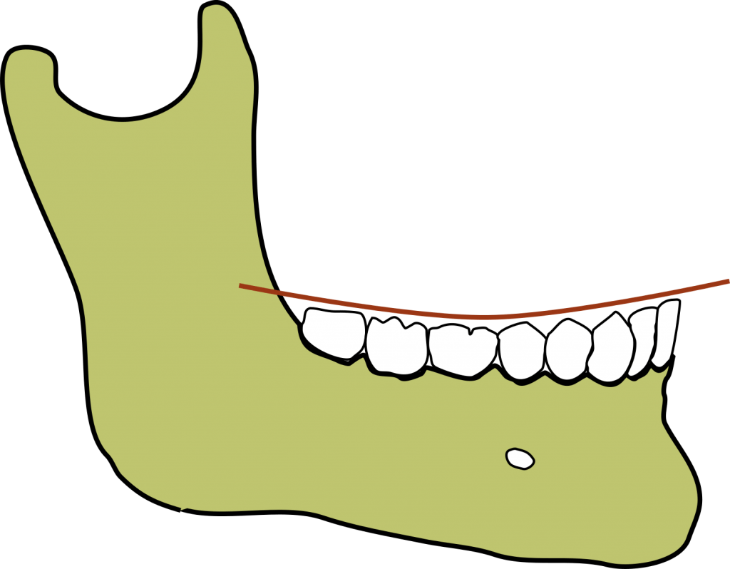 Curve of spee 1 1024x798 1