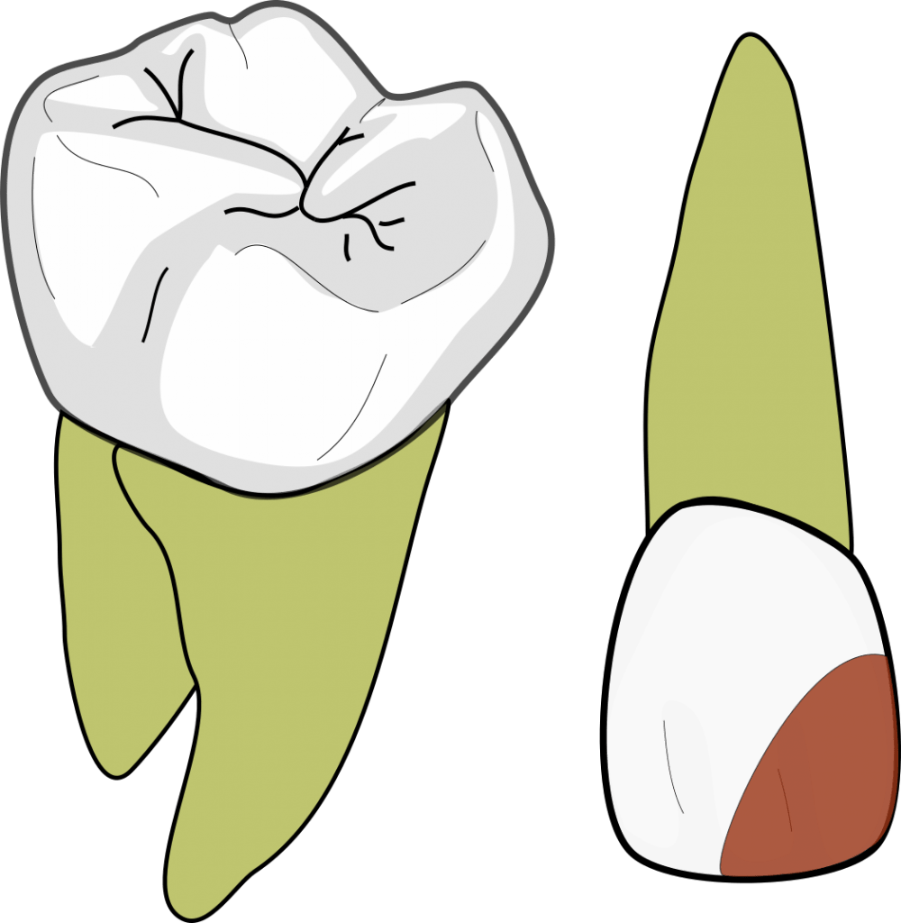 GV Black class 4 1000x1024 1