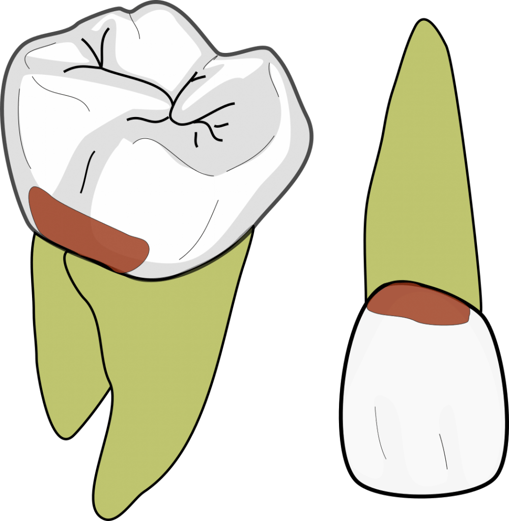 GV Black class 5 1000x1024 1