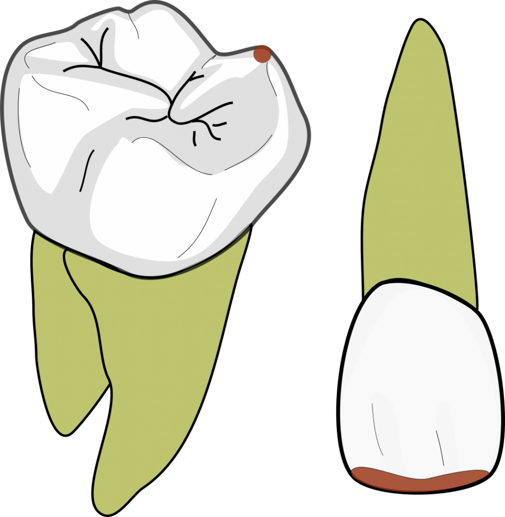 GV Black class 6 1000x1024 1