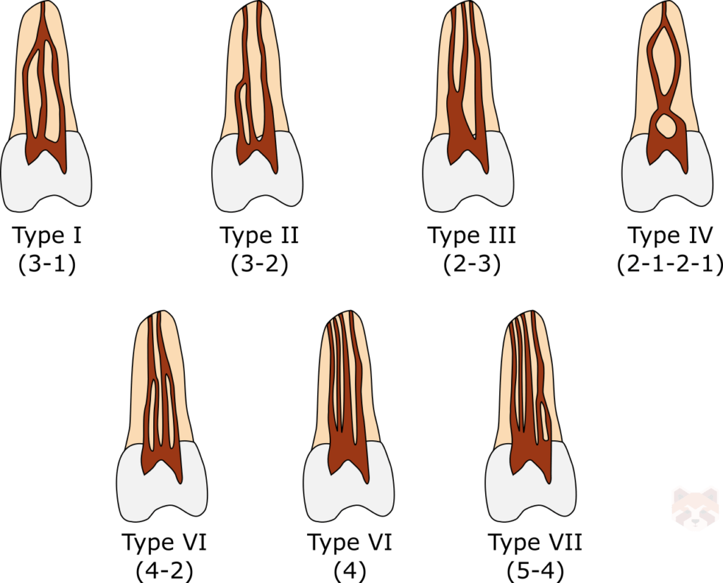 Gulabivala canal configurations 1024x825 1