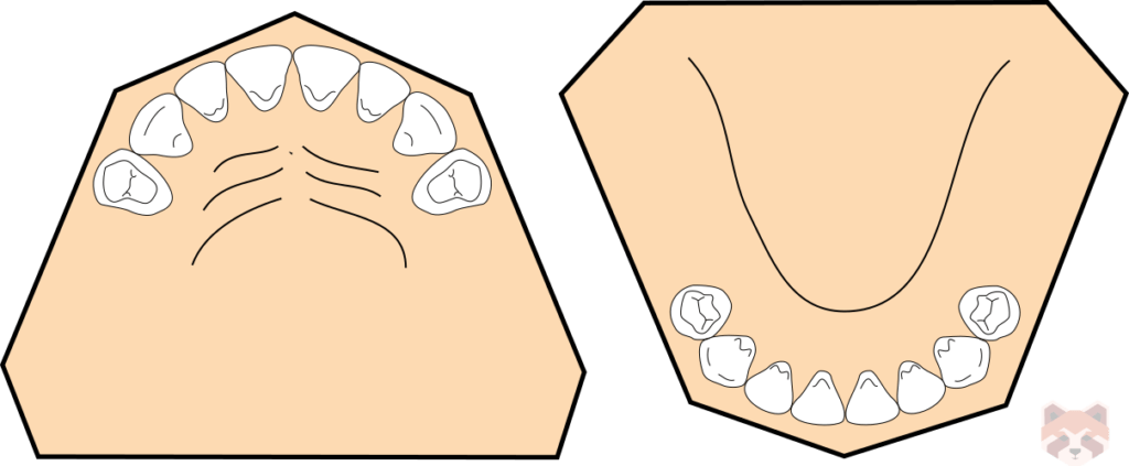Kennedy class 1 1024x423 1