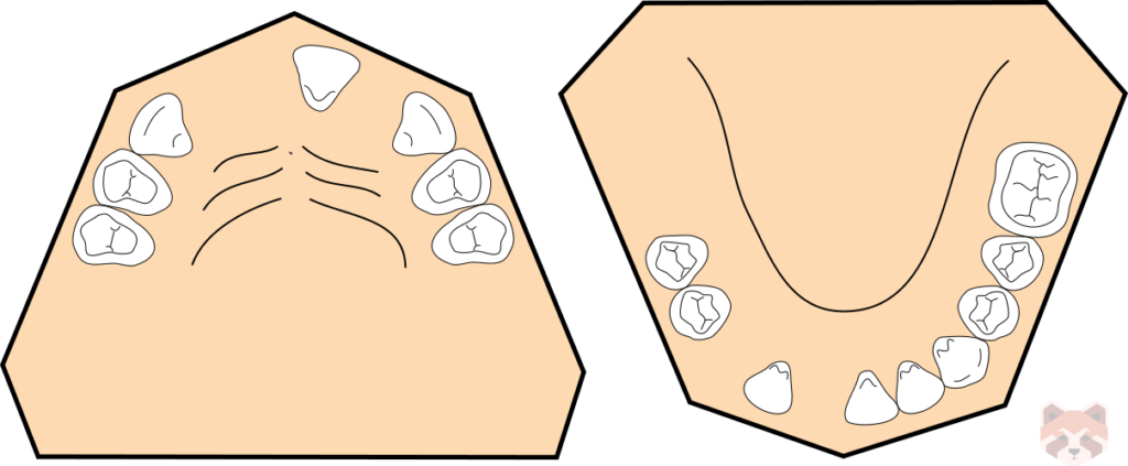 Kennedy class 1 mod 2 1024x423 1
