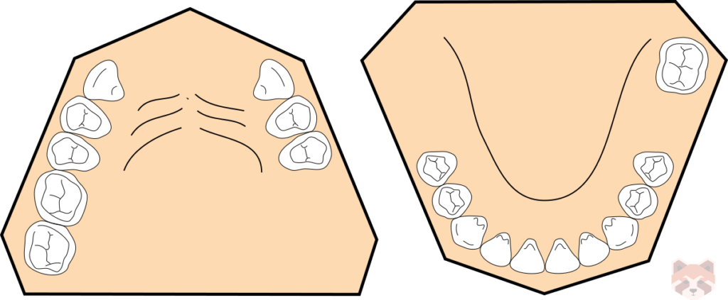 Kennedy class 2 mod 1 1024x423 1