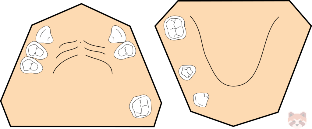 Kennedy class 2 mod 2 1024x423 1