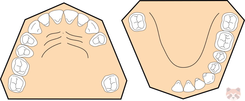 Kennedy class 3 1024x423 1