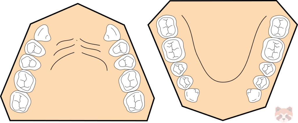 Kennedy class 4 1024x423 1