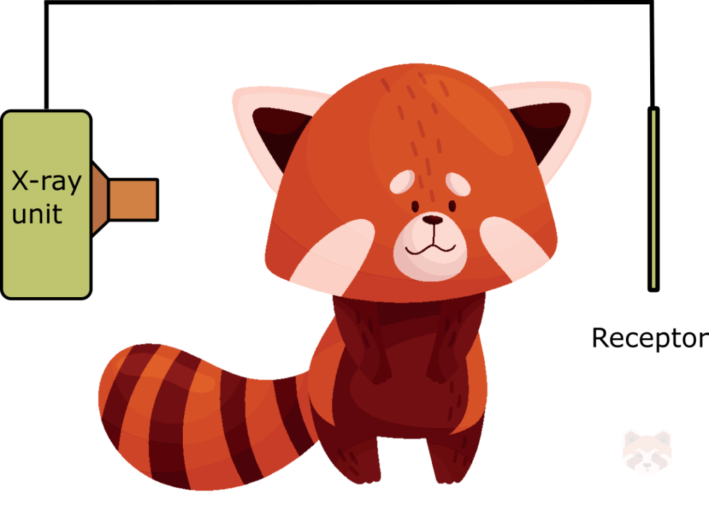 Lat ceph 1 1024x729 1