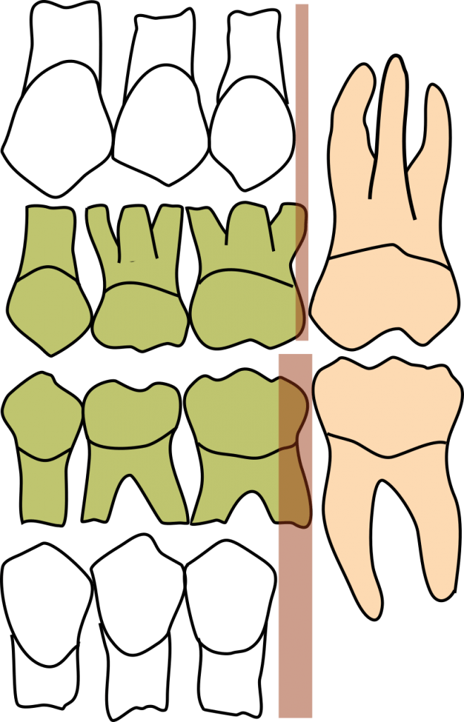 Leeway space 658x1024 1