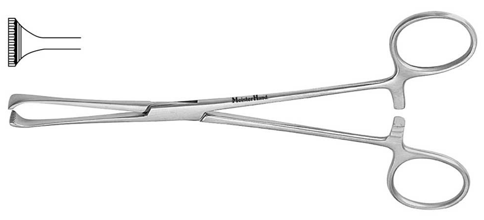 OSA Allis forceps