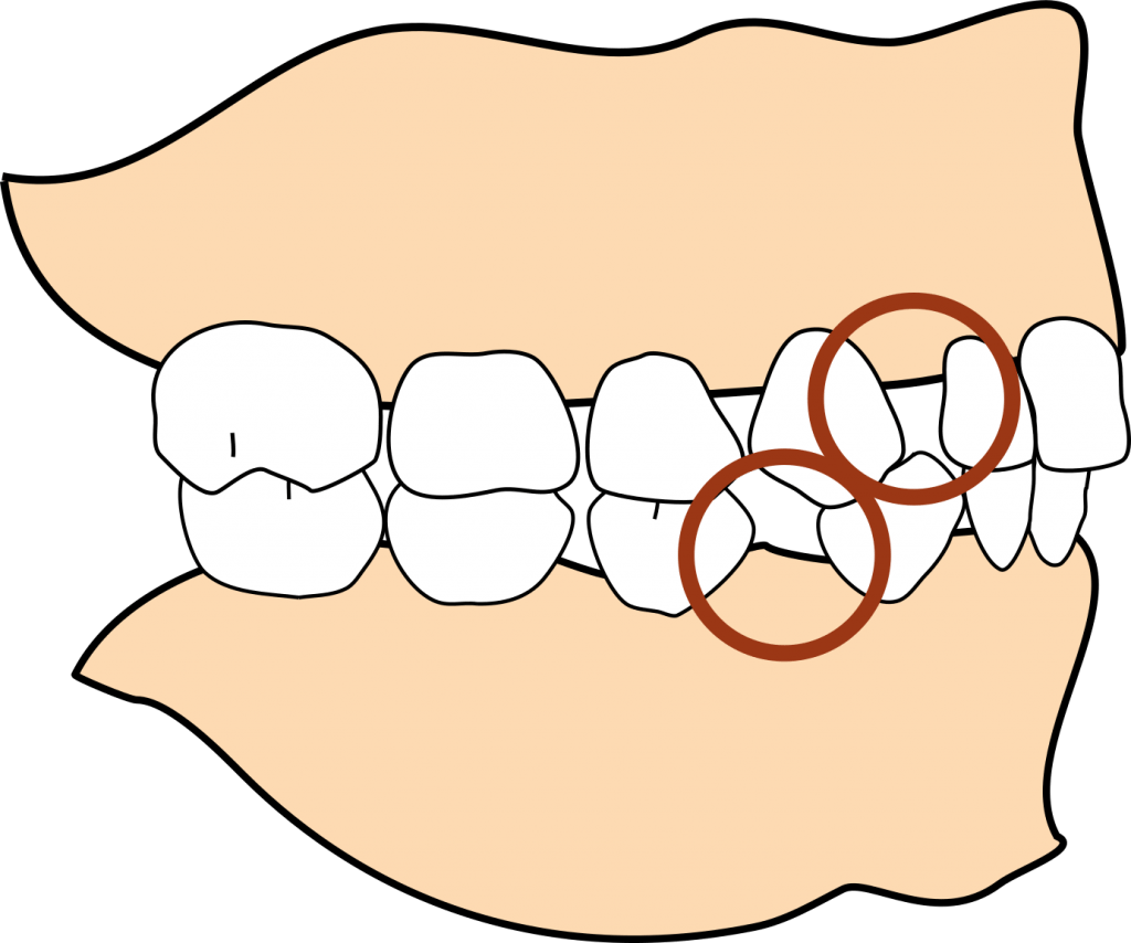 Primate space 1024x854 1