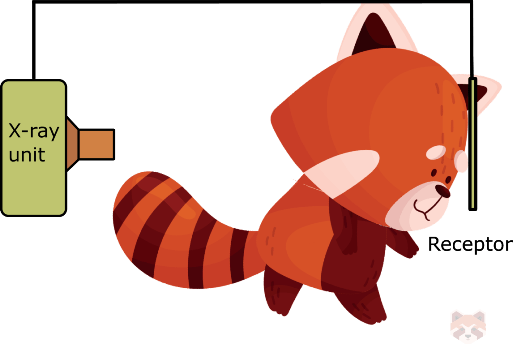 Reverse towne projection 1 1024x687 1