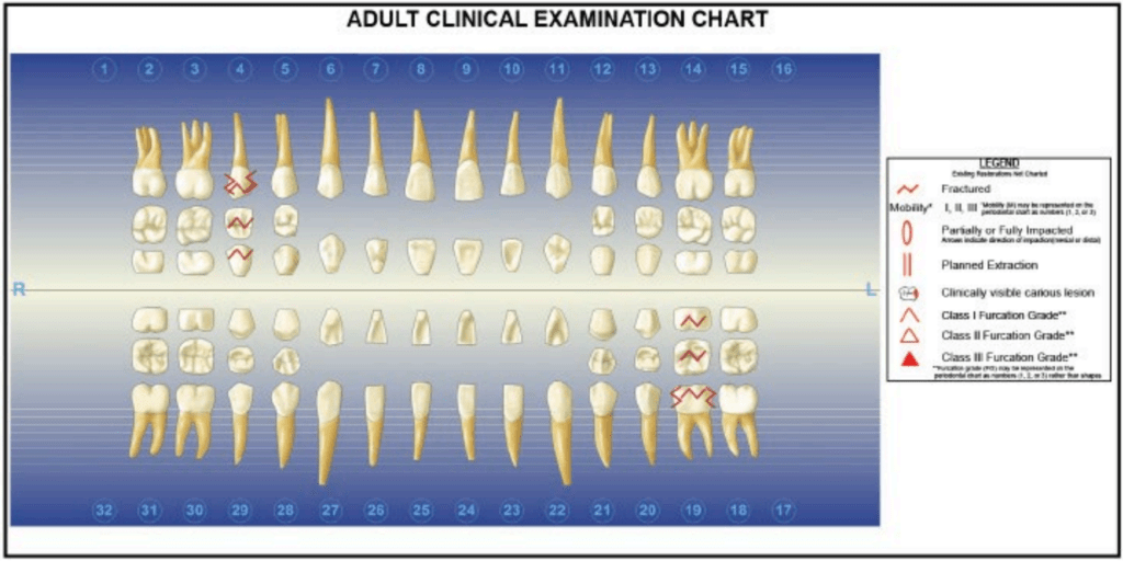 Screenshot 2025 01 18 182444 1024x512 1